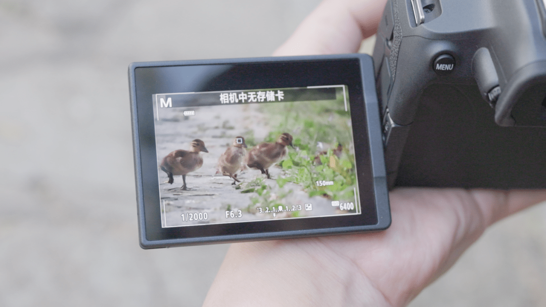 快速上手<strong></p>
<p>eos价格</strong>！佳能EOS R7&amp;amp;EOS R10抢先看