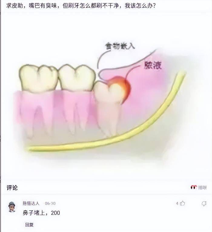 轻松一刻：Doge今年已经15岁了<strong></p>
<p>doge是什么币种</strong>，时间过得真快