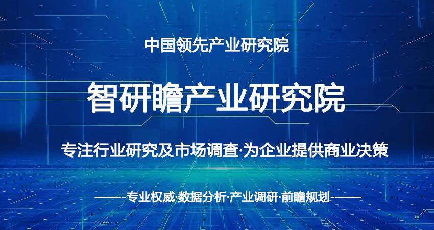 中国白银行业市场前瞻与投资战略规划分析报告