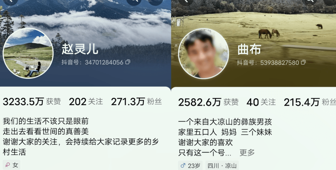 “百万粉丝网红”被判刑