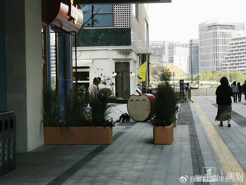 上海现“停狗处”太超前？记者实探：不止一处<strong></p>
<p>华夏评级币</strong>，有人点赞有人忧