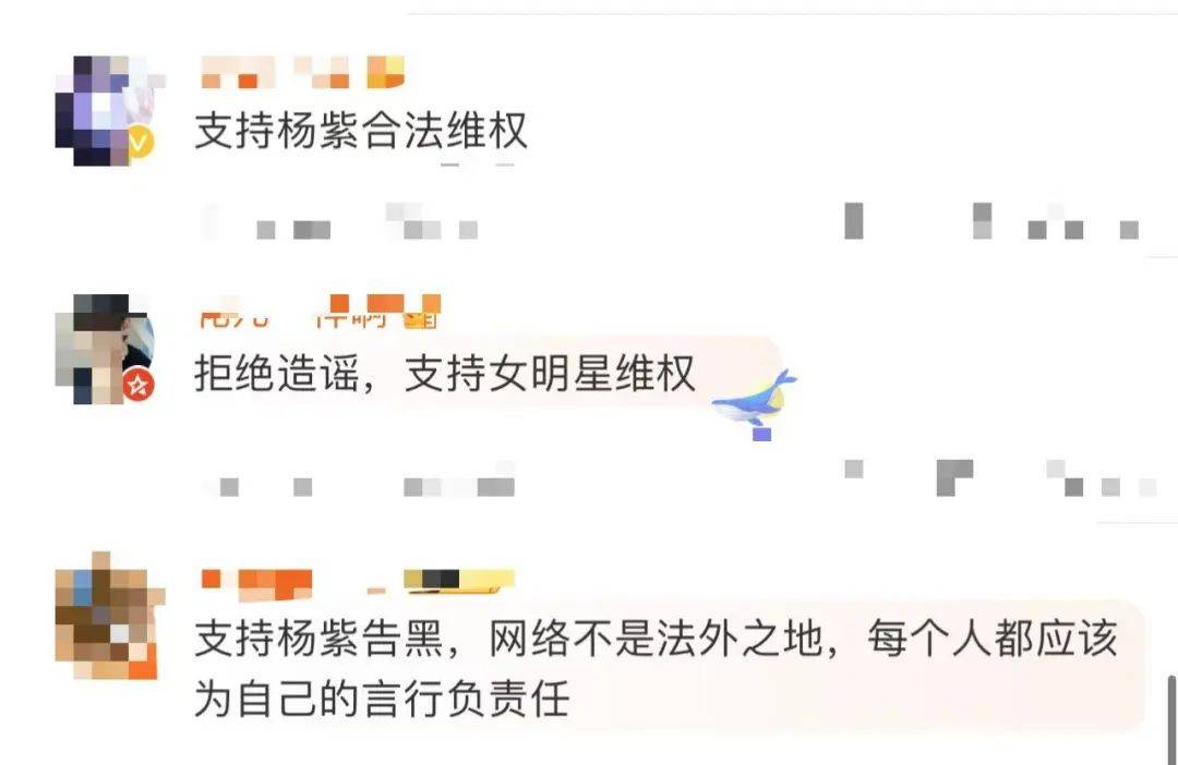 杨紫突发<strong></p>
<p>币圈营销</strong>！魏大勋突发！