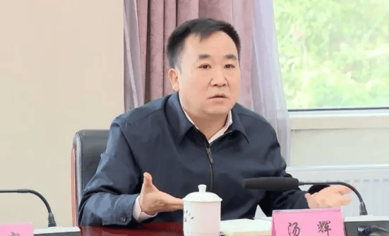 汤辉<strong></p>
<p>币圈阿凡提</strong>，严重违反政治纪律、组织纪律、廉洁纪律和生活纪律