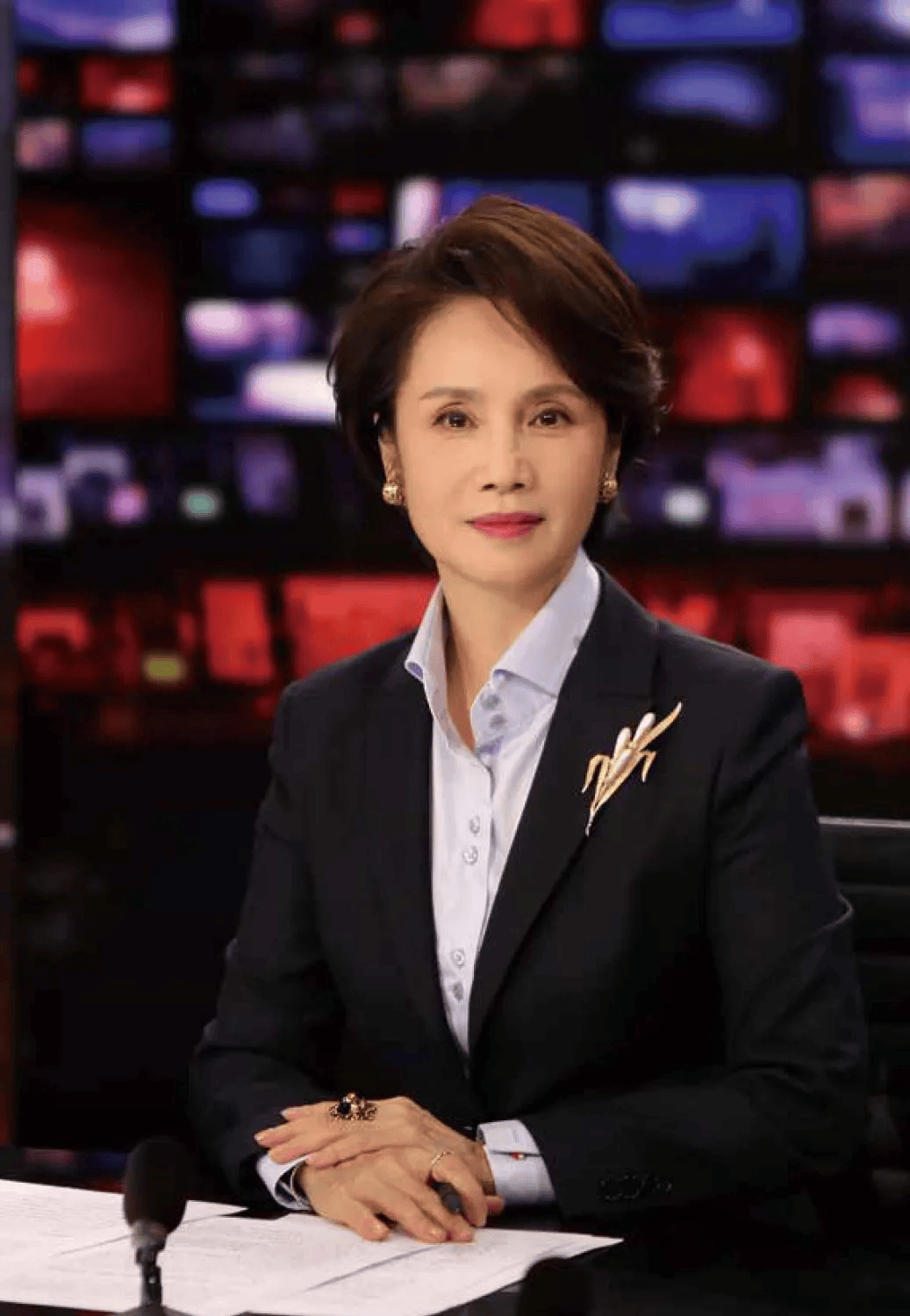 前央视知名主持人<strong></p>
<p>币圈阿凡提</strong>，转行当演员