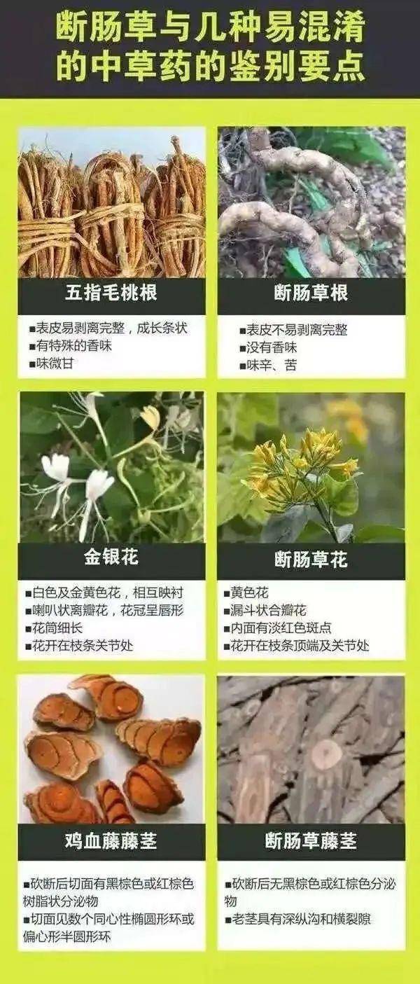 广东一老人买药材煲汤中毒身亡 当地：店铺误售断肠草<strong></p>
<p>看币圈</strong>，老板被拘留