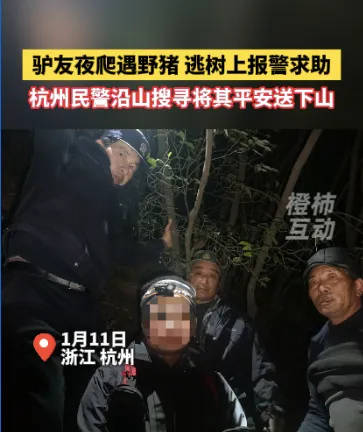 “我现在在树上<strong></p>
<p>耽币</strong>，野猪在下面……”杭州一男子深夜报警！