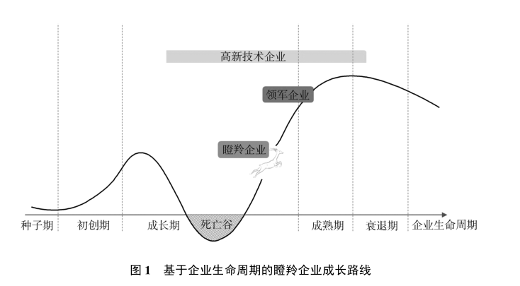 政府工作报告中的新词“瞪羚企业”<strong></p>
<p>学习炒币</strong>，是什么意思