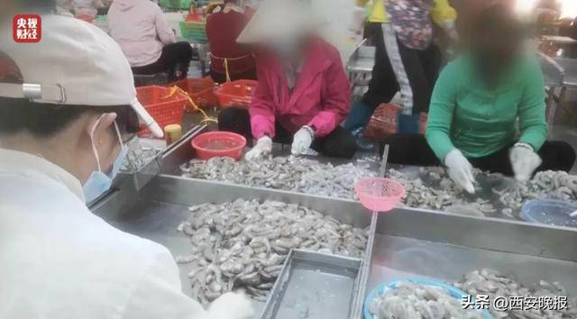 与辉同行或赔2000万<strong></p>
<p>币圈心得</strong>，董宇辉曾称每个月检测费近百万