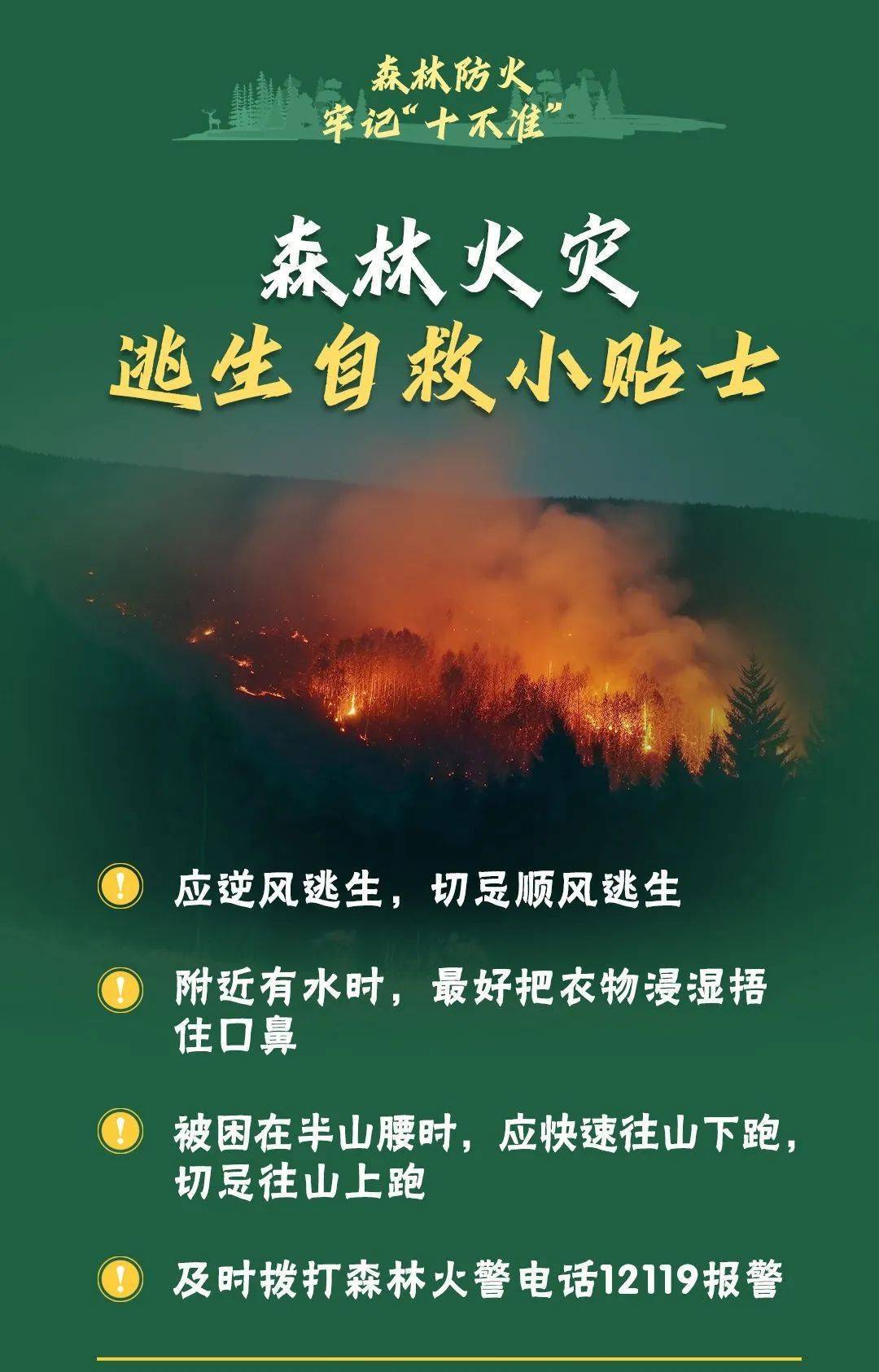 已致4名消防员遇难<strong></p>
<p>韩国人炒币</strong>！多地进入“灾难状态”