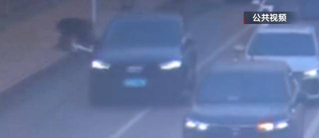 骑自行车碰瓷！北京一六旬男子骗取25人共4.6万余元<strong></p>
<p>奥链币</strong>，法院判了