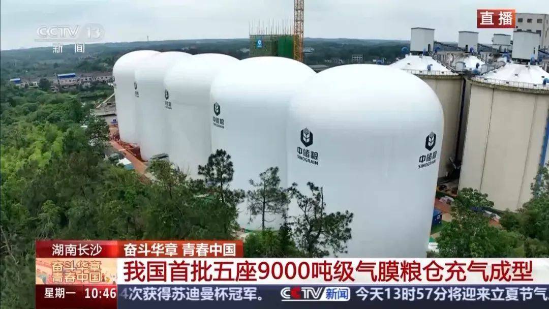 就在长沙<strong></p>
<p>币圈一哥</strong>！我国首批五座9000吨级气膜粮仓今天充气成型！