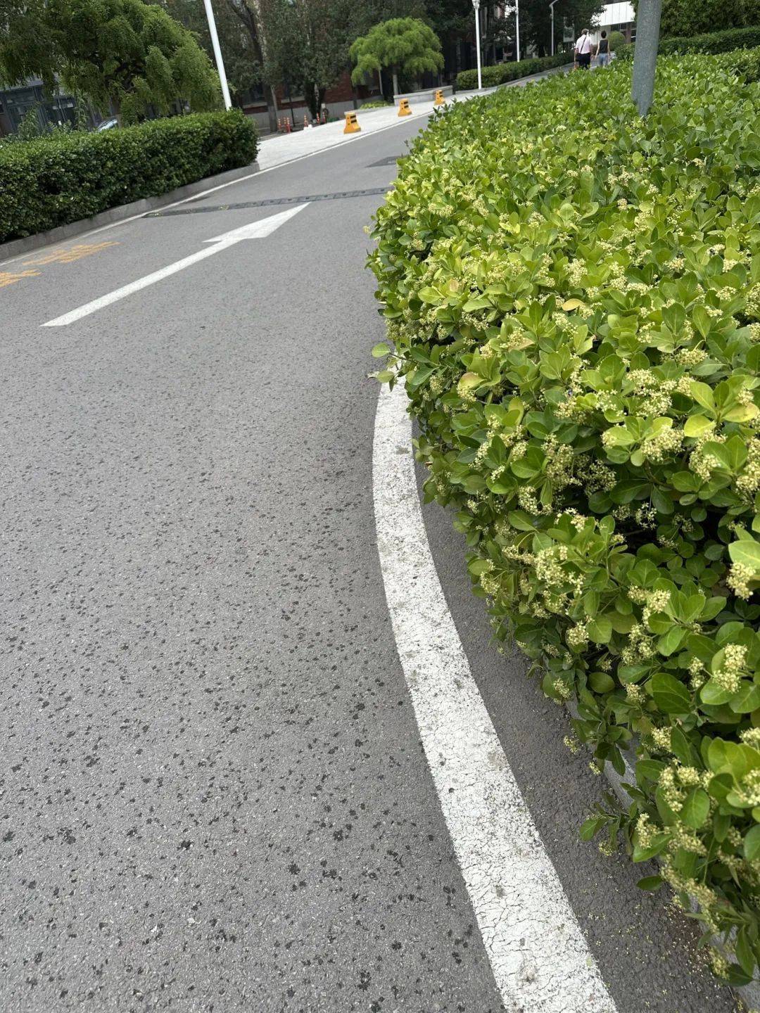 下雨了<strong></p>
<p>自行车</strong>！天津接下来十天都是……