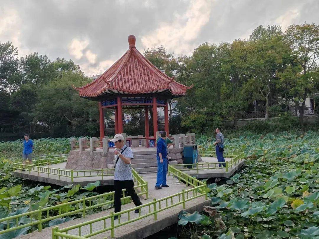 青岛中山公园一凉亭突然倒塌：一年前刚完成修缮<strong></p>
<p>比特币怎么挖矿</strong>，园方称无伤亡原因待查