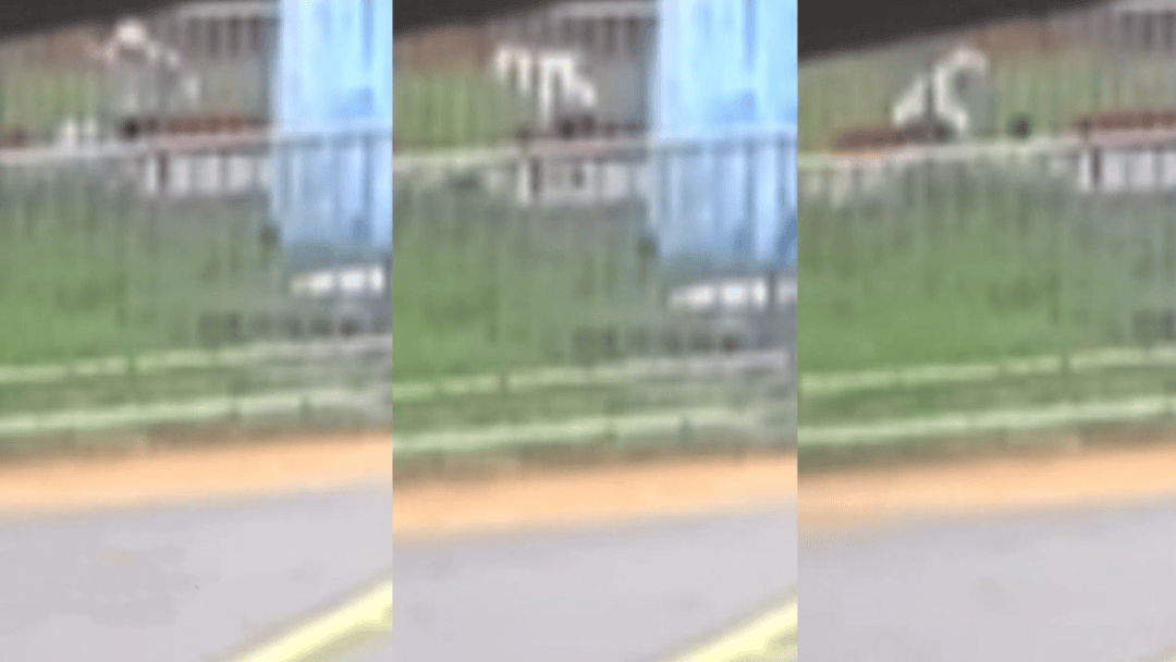“44秒31刀”<strong></p>
<p>比特币今天行情</strong>，台湾残忍情杀案曝光：多次寻求复合被拒，17岁少年网购长刀当众杀害21岁前女友，已被逮捕