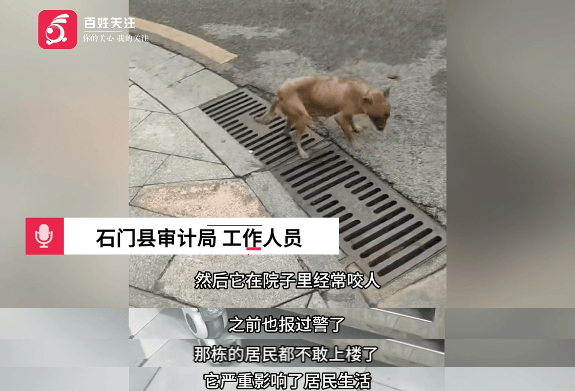 保安称“经常咬人”打死流浪犬<strong></p>
<p>比特币今天行情</strong>，居民上门讨说法：这个门卫穷凶极恶