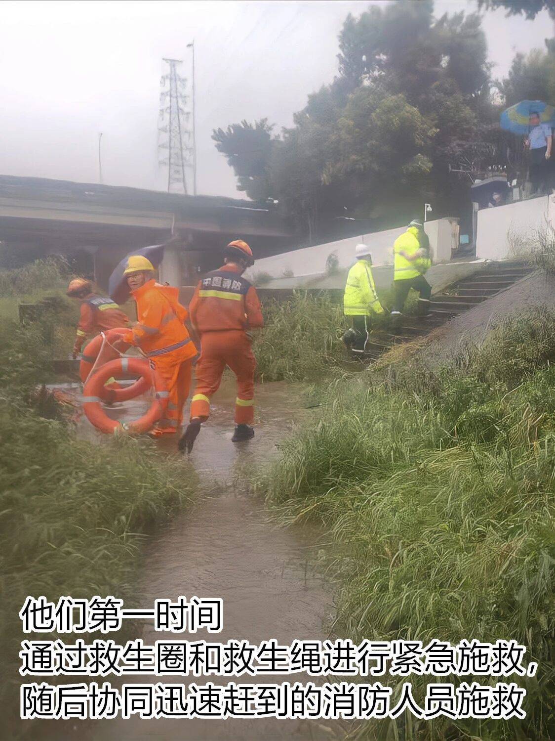 台风夜<strong></p>
<p>比特币历史价格</strong>，深圳有人溺水！紧急！“桦加沙”过境，这些画面泪目