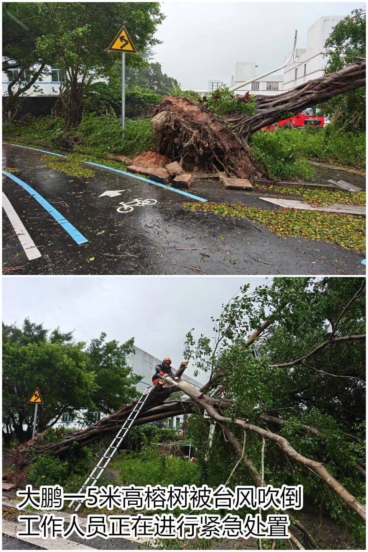 台风夜<strong></p>
<p>比特币历史价格</strong>，深圳有人溺水！紧急！“桦加沙”过境，这些画面泪目