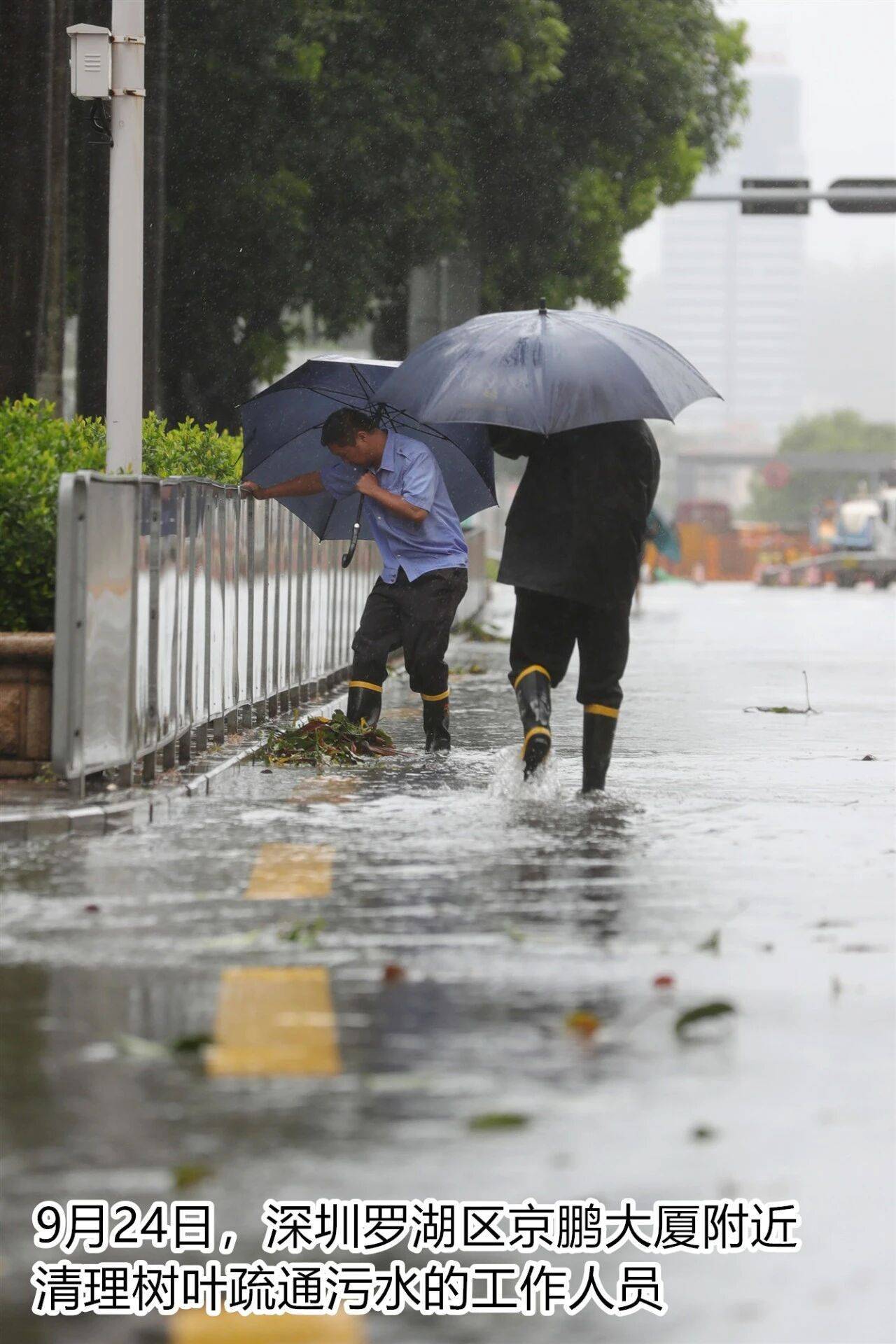 台风夜<strong></p>
<p>比特币历史价格</strong>，深圳有人溺水！紧急！“桦加沙”过境，这些画面泪目