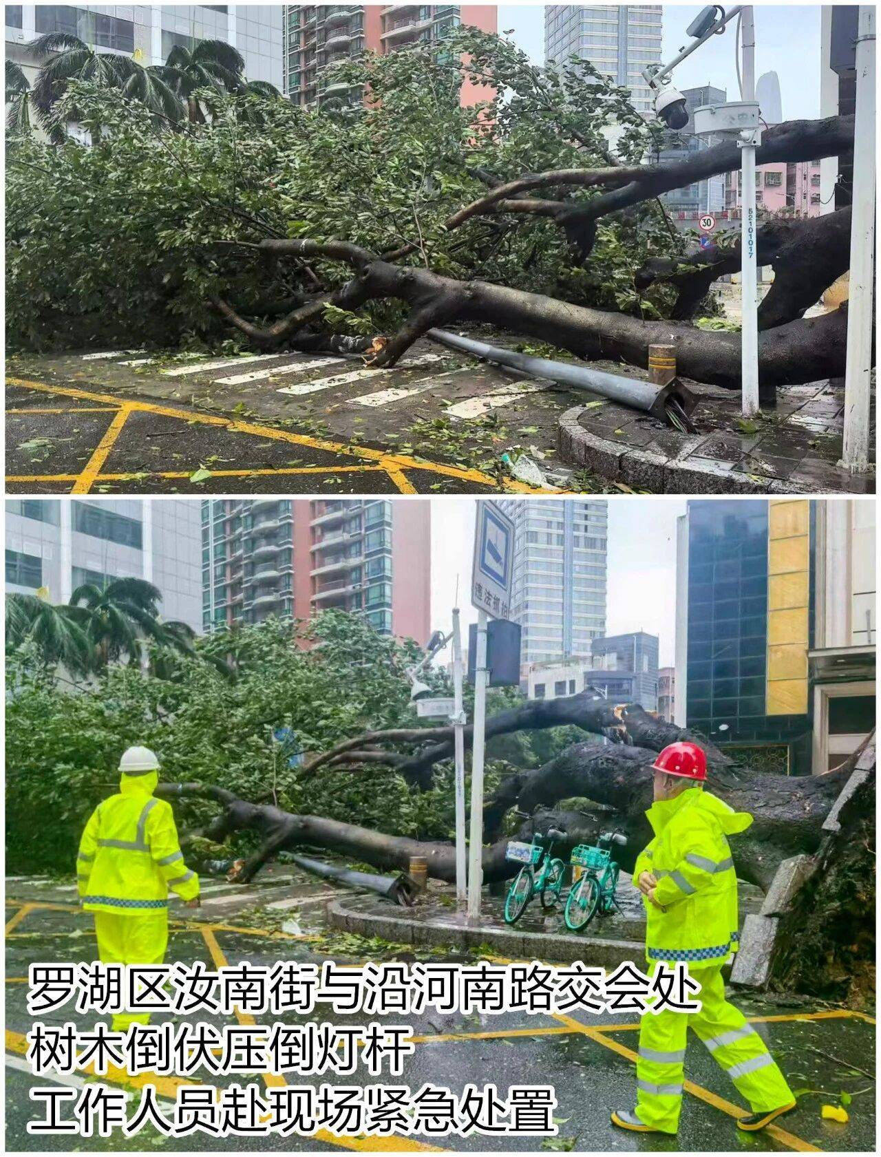 台风夜<strong></p>
<p>比特币历史价格</strong>，深圳有人溺水！紧急！“桦加沙”过境，这些画面泪目