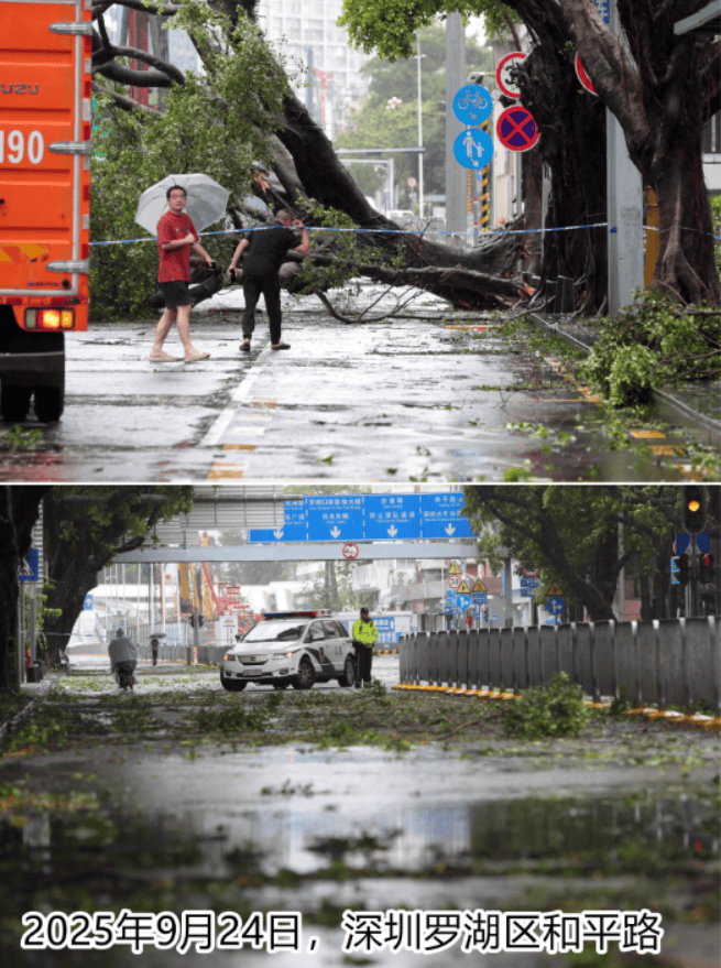 台风夜<strong></p>
<p>比特币历史价格</strong>，深圳有人溺水！紧急！“桦加沙”过境，这些画面泪目