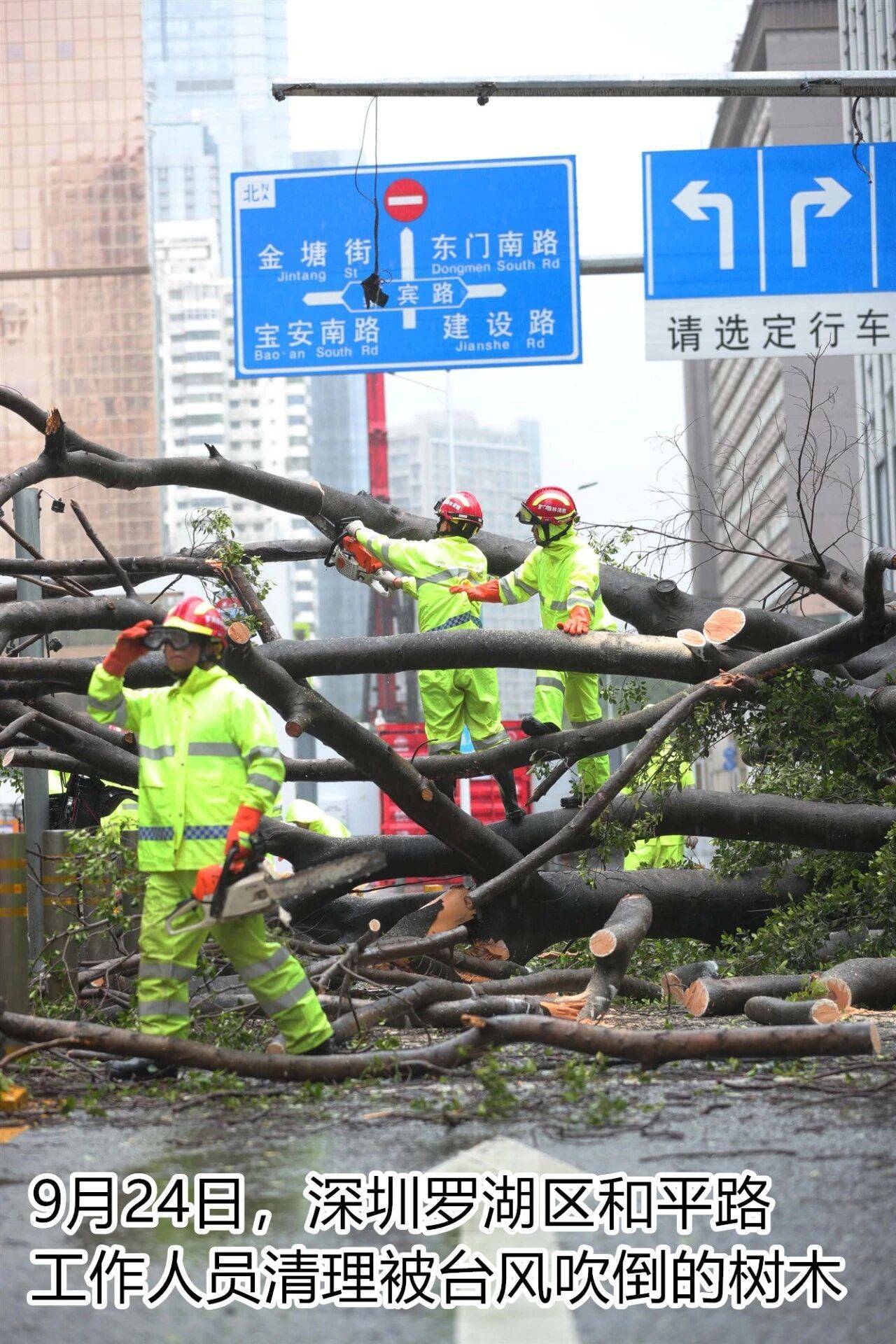 台风夜<strong></p>
<p>比特币历史价格</strong>，深圳有人溺水！紧急！“桦加沙”过境，这些画面泪目