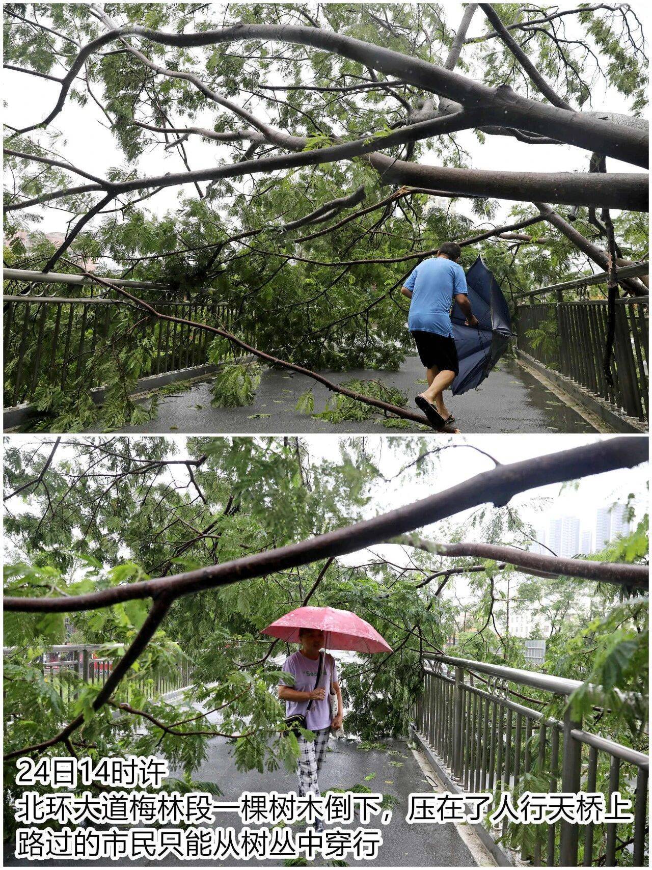台风夜<strong></p>
<p>比特币历史价格</strong>，深圳有人溺水！紧急！“桦加沙”过境，这些画面泪目