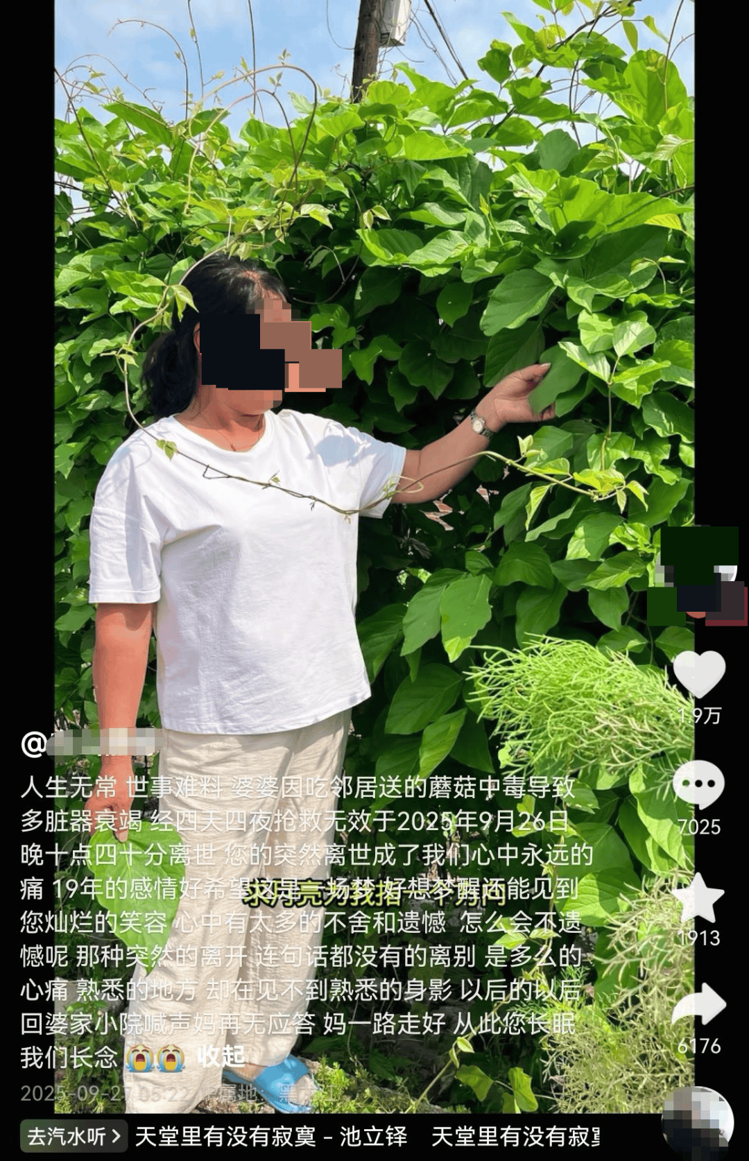 网红发文悼念婆婆：吃了邻居送的蘑菇中毒<strong></p>
<p>比特币今日行情走势</strong>，抢救四天四夜死亡！这些蘑菇避毒原则可能是陷阱→
