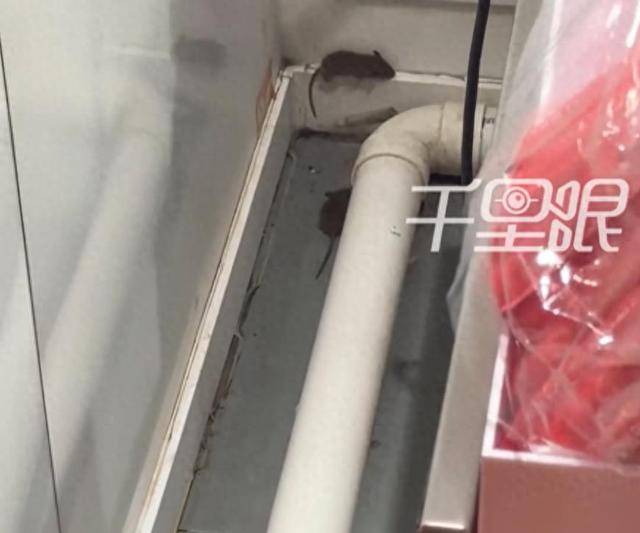 网曝蜜雪冰城一门店有多只老鼠横行<strong></p>
<p>美元比特币</strong>，涉事门店员工回应