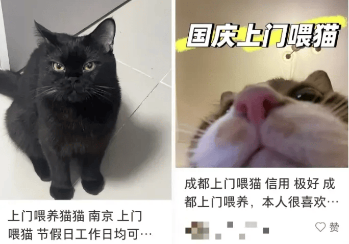这个需求激增！一男子连接270单<strong></p>
<p>比特币人民币</strong>，其中一笔收费8100元