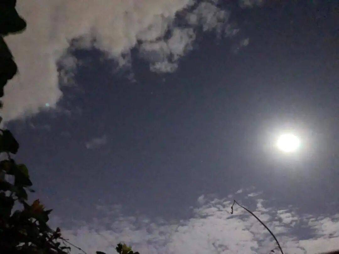 没有什么能阻挡！今天<strong></p>
<p>比特币人民币</strong>，广西人就是要回家！