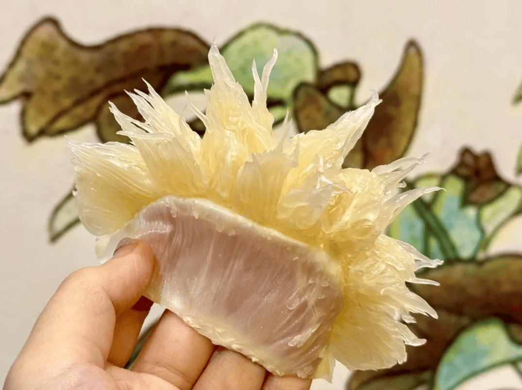 没有什么能阻挡！今天<strong></p>
<p>比特币人民币</strong>，广西人就是要回家！