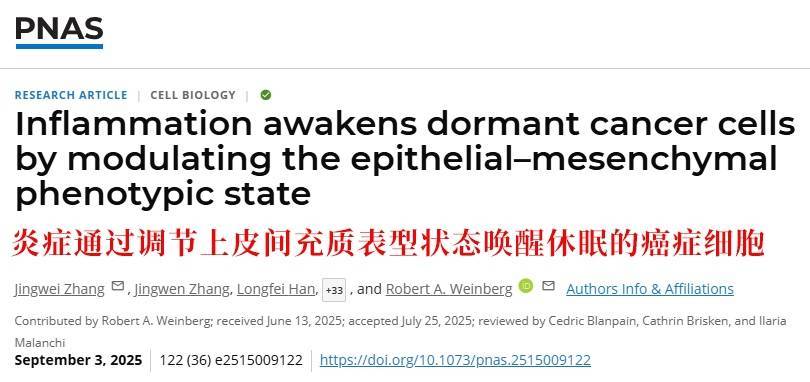 长期炎症会“唤醒”癌细胞<strong></p>
<p>比特币人民币</strong>！这份抗炎指南每个人都该看看