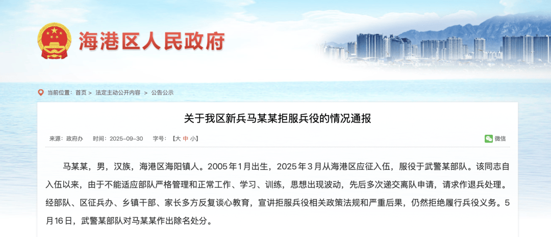 马某某（2005年出生）<strong></p>
<p>比特币最高价格</strong>，不得录用为公务员、罚款86400元