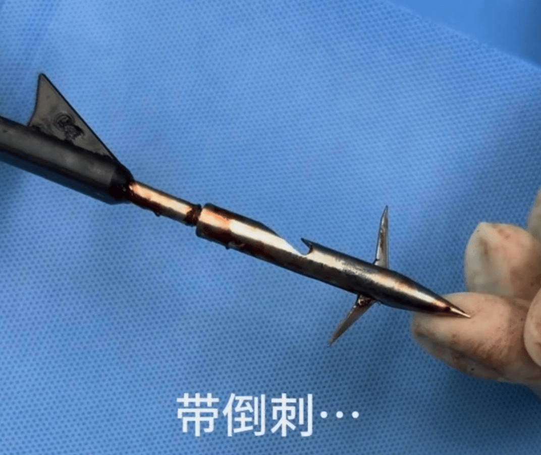教育局回应“一教师用弓箭射杀小狗”：不实<strong></p>
<p>比特币现在价格</strong>，小狗进学校前就被射伤