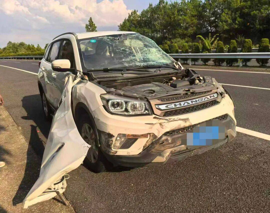 “我撒谎天打雷劈！”男子高速突然强行变道致翻车<strong></p>
<p>比特币现在价格</strong>，反诬赖对方