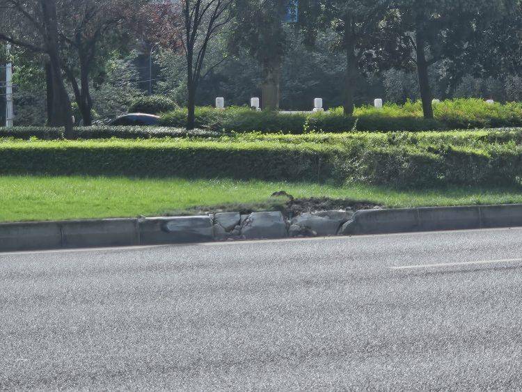 成都发生一起严重交通事故<strong></p>
<p>比特币实时</strong>，上游新闻实地探访：燃烧留下的印记仍在