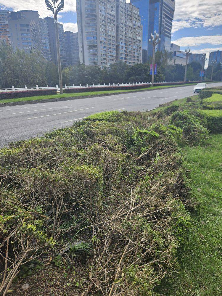 成都发生一起严重交通事故<strong></p>
<p>比特币实时</strong>，上游新闻实地探访：燃烧留下的印记仍在