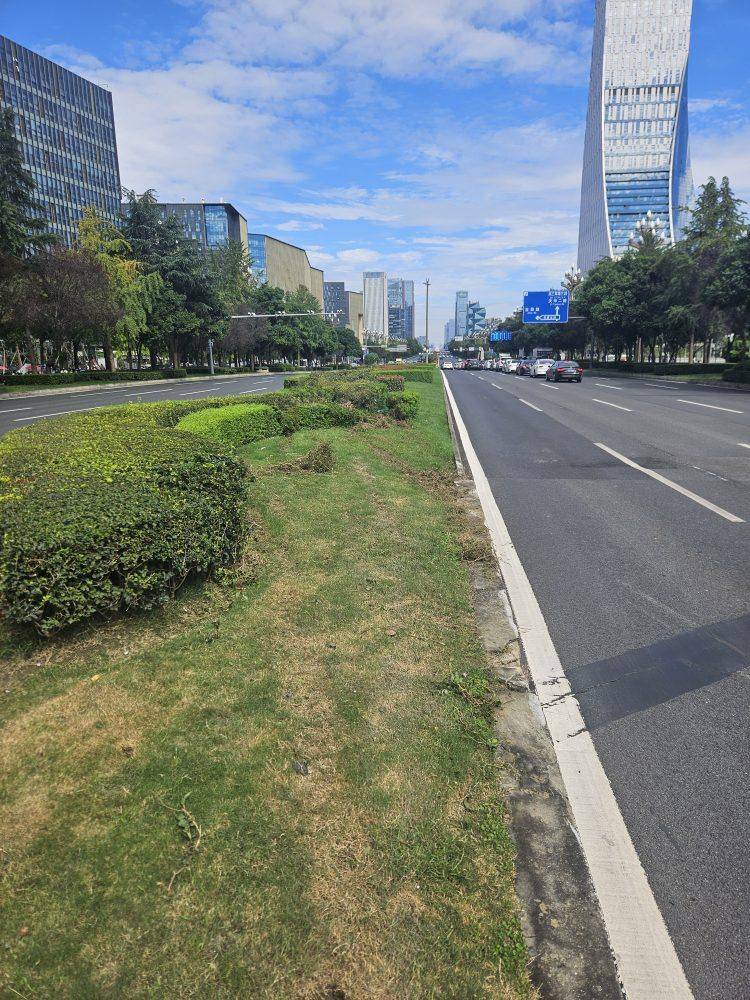 成都发生一起严重交通事故<strong></p>
<p>比特币实时</strong>，上游新闻实地探访：燃烧留下的印记仍在