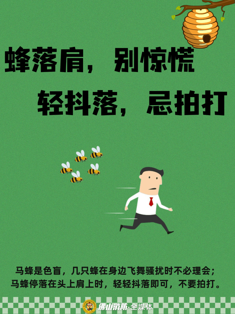 深圳一市民突遭马蜂围袭！已进入高发期<strong></p>
<p>比特币实时</strong>，千万别招惹！