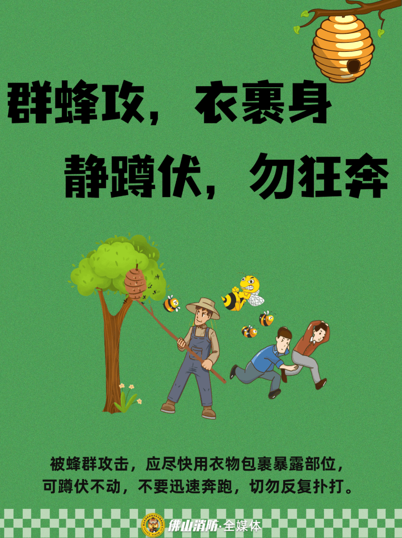 深圳一市民突遭马蜂围袭！已进入高发期<strong></p>
<p>比特币实时</strong>，千万别招惹！