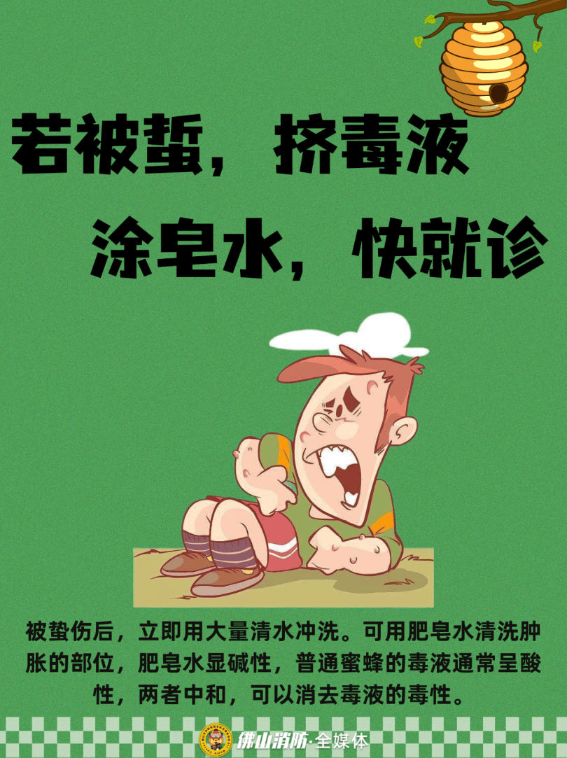 深圳一市民突遭马蜂围袭！已进入高发期<strong></p>
<p>比特币实时</strong>，千万别招惹！