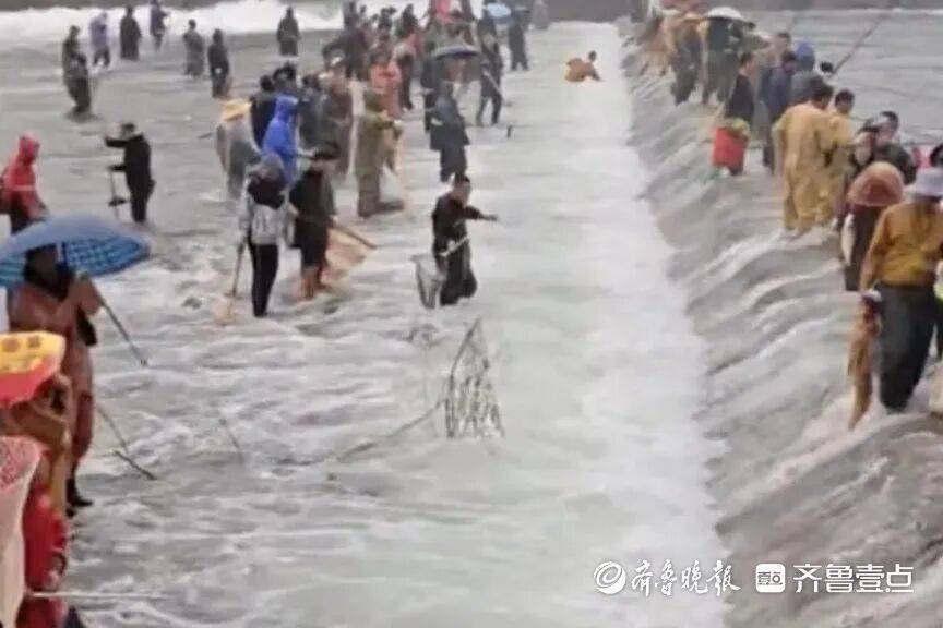 “鱼多得数不过来<strong></p>
<p>比特币历年价格</strong>，一网子下去能捞好几条”济南锦绣川水库开闸放水，大量鲢鱼被冲出，工作人员：禁止捕捞！