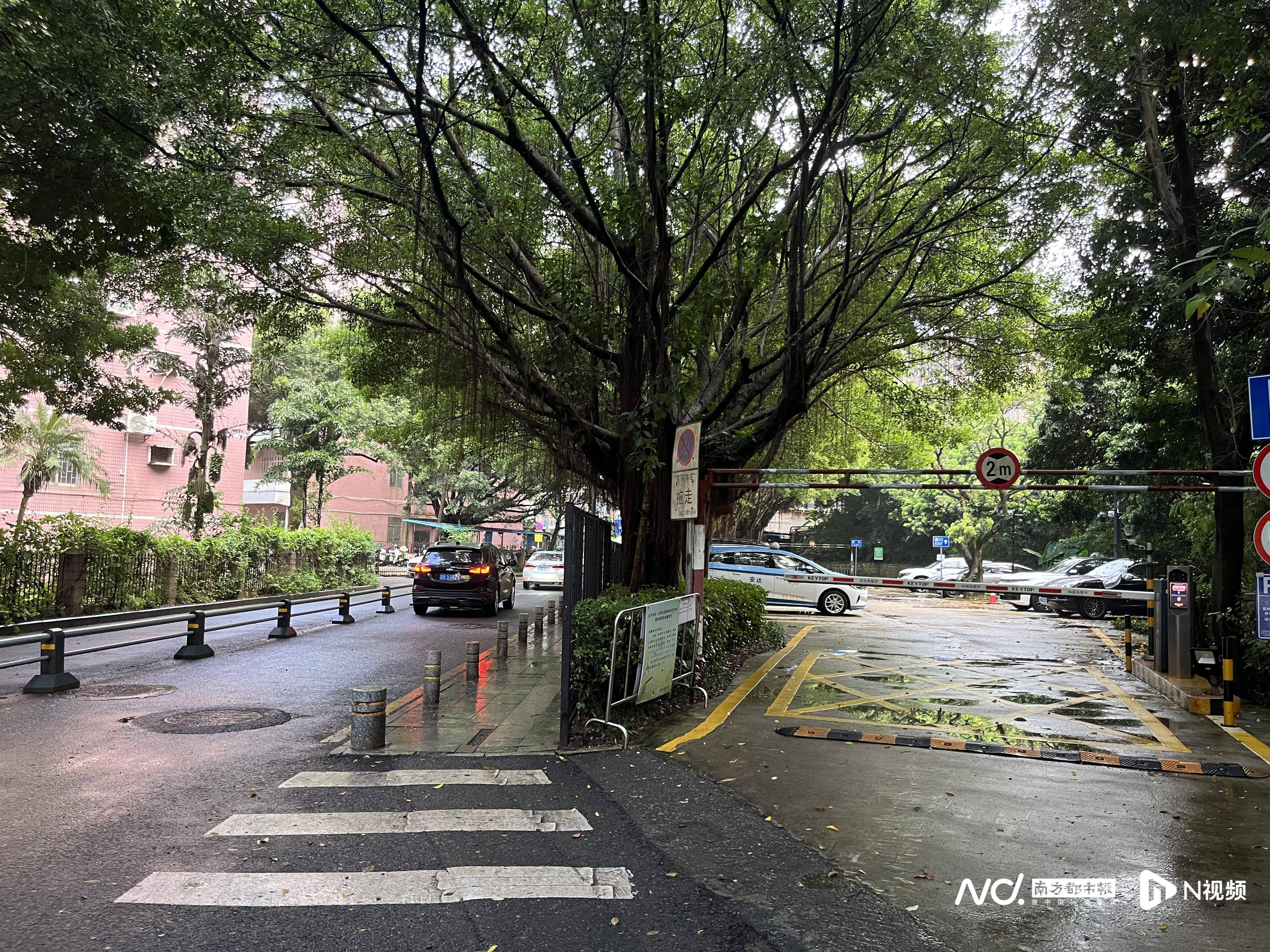 深圳一小区电动车管理引担忧<strong></p>
<p>比特币历年价格</strong>，部门责令整改后，记者实探