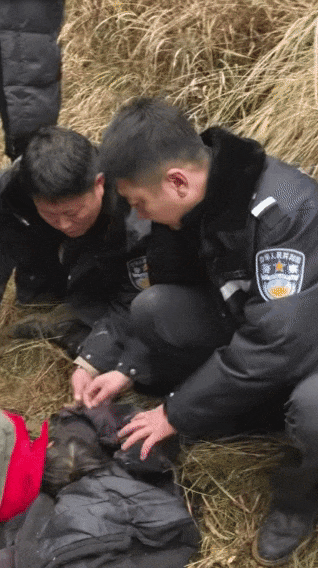 辽宁4岁女童称睡醒后自行下车<strong></p>
<p>比特币实时走势图</strong>，迷路后睡在草地，期间无人接触；其母发声