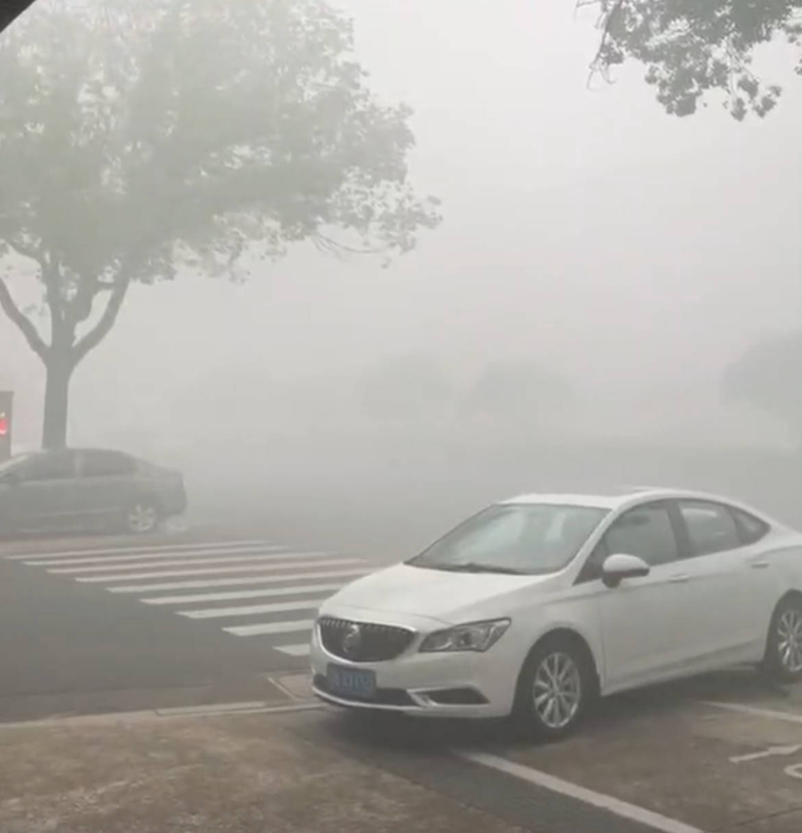 江苏一化工厂发生火灾<strong></p>
<p>比特币视频</strong>，现场燃起冲天浓烟街道被烟雾笼罩，当地：将通报，未致人员伤亡