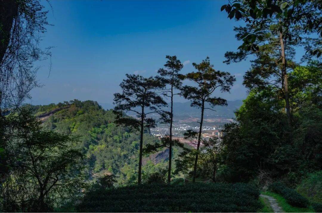为什么年轻人迷上了爬山？ | 秋高气爽<strong></p>
<p>比特币交易所</strong>，是时候出发了→