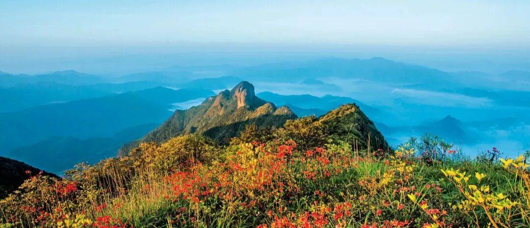 为什么年轻人迷上了爬山？ | 秋高气爽<strong></p>
<p>比特币交易所</strong>，是时候出发了→