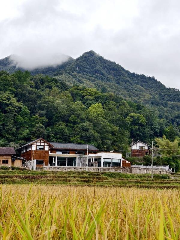 推窗见梯田<strong></p>
<p>比特币交易所</strong>！梧桐山民宿：把日子过成诗