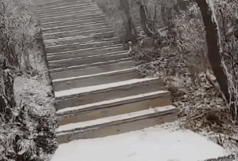 石家庄下雪了<strong></p>
<p>比特币k线图</strong>！河北雨雪上线！新一股冷空气在路上……