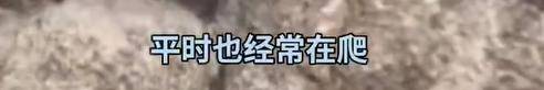 女子穿7cm高跟鞋、纱裙爬山<strong></p>
<p>一个比特币多少钱</strong>，不服输选了最难路线登顶